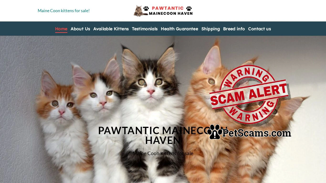 is Pawtantic Mainecoon Haven – Maine Coone Kittens for sale legit? screenshot