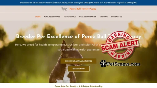 Scam Website: Perez Bull Terrier Puppy – Bull Terrier Puppies For Sale