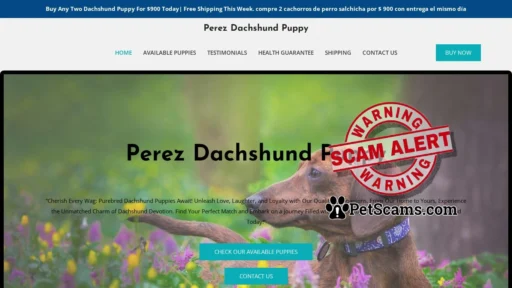 Scam Website: Perez Dachshund Puppy – Purebred Dachshund Puppies For Sale