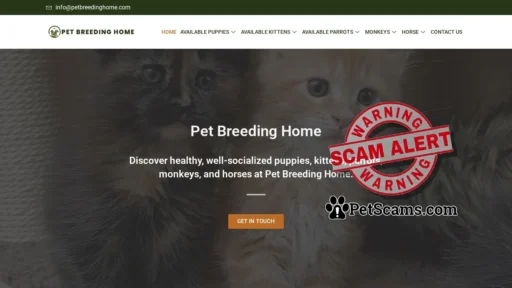Scam Website: Pet Breeding Home – Pets for sale online