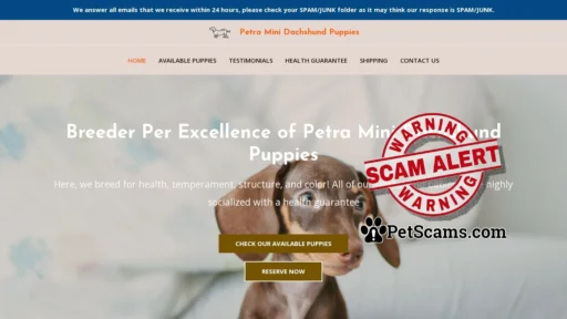 Scam Website: Petra Mini Dachshund Puppies – Dachshund Puppies For Sale