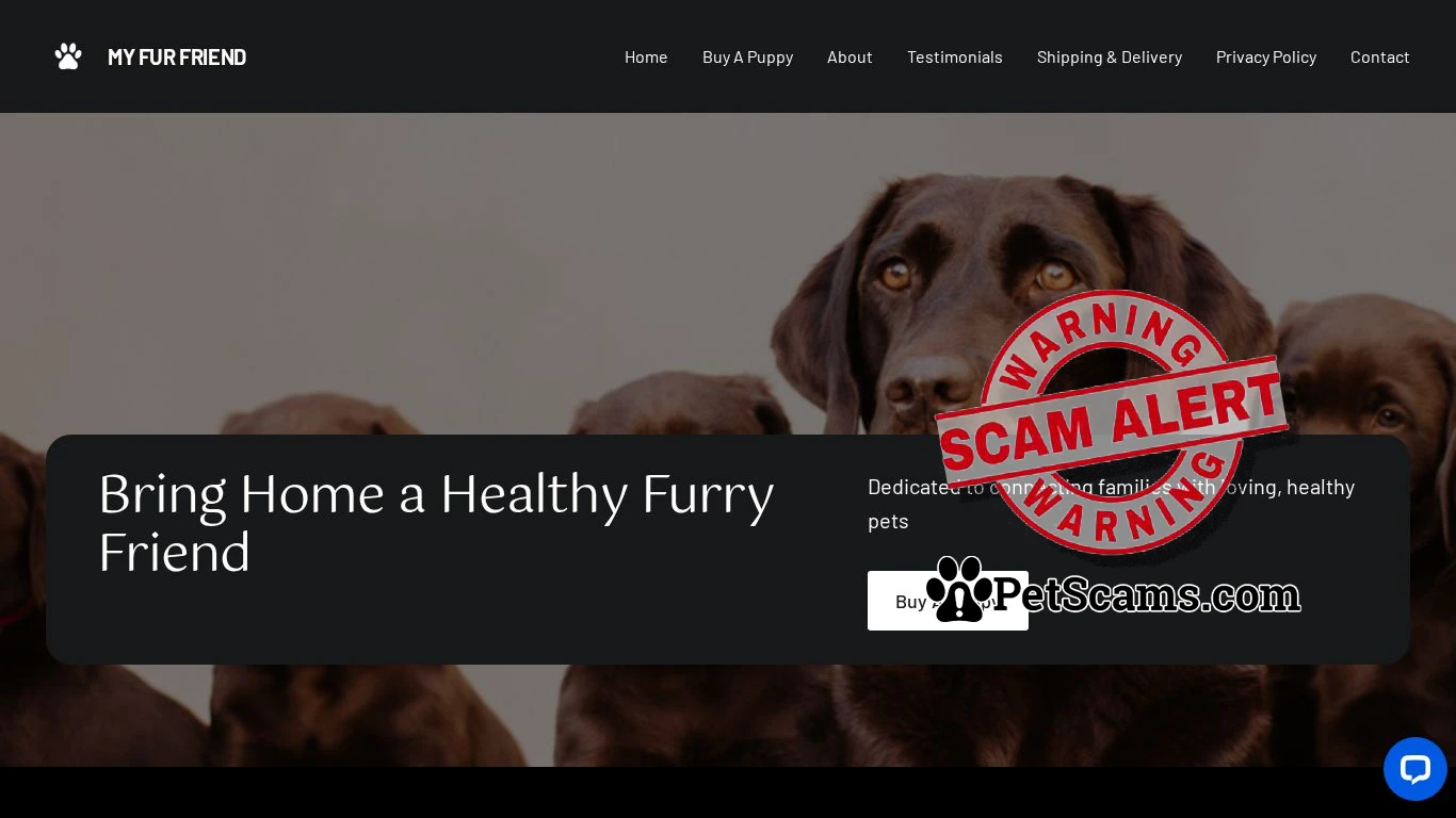 is Home - My Fur Friend legit? screenshot