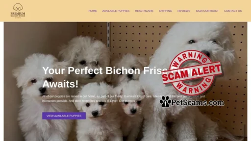 Scam Website: Premium Bichon Frise Home – Bichon Frise Puppies For Sale