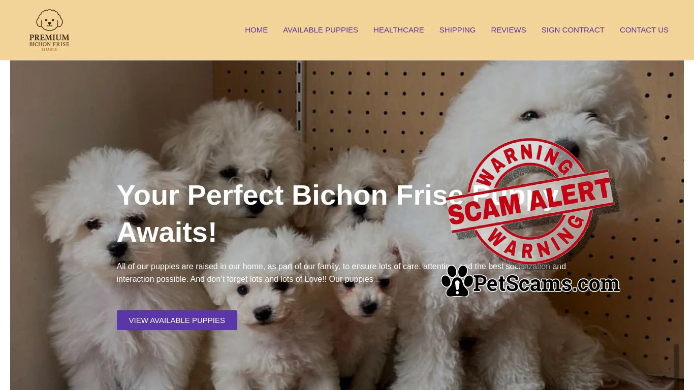 is Premium Bichon Frise Home – Bichon Frise Puppies For Sale legit? screenshot