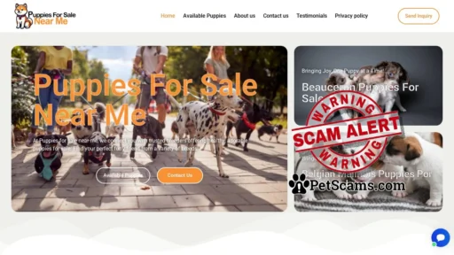 Scam Website: Puppies For Sale Near Me