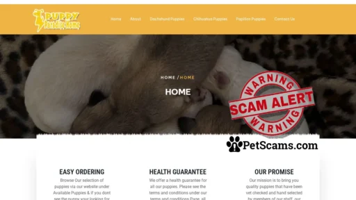 Scam Website: No Title Found