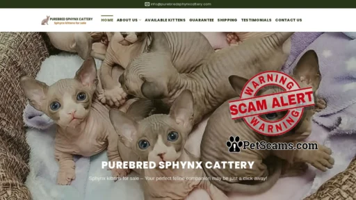 Scam Website: Purebred Sphynx Cattery – Sphynx kittens for sale Australia