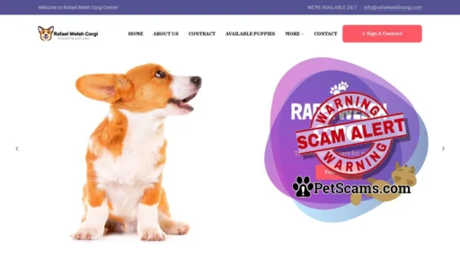 Scam Website: Rafael Welsh Corgi – Buy Welsh Corgi Puppies Online