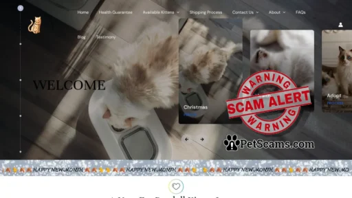 Scam Website: Home - regalragdollcattery.com