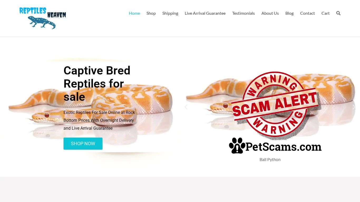 is Reptiles For Sale - Reptiles Heaven legit? screenshot