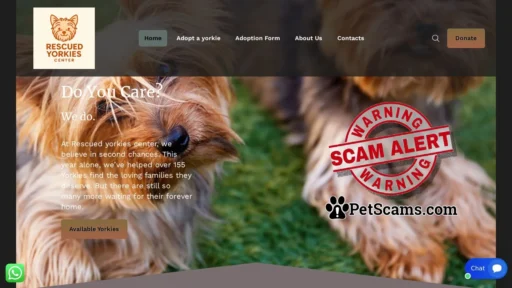 Scam Website: Rescued yorkies center