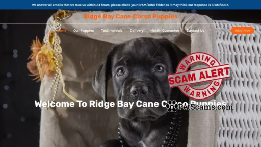 Scam Website: Ridge Bay Cane Corso Puppies – Purebred Cane Corso Puppies For Sale