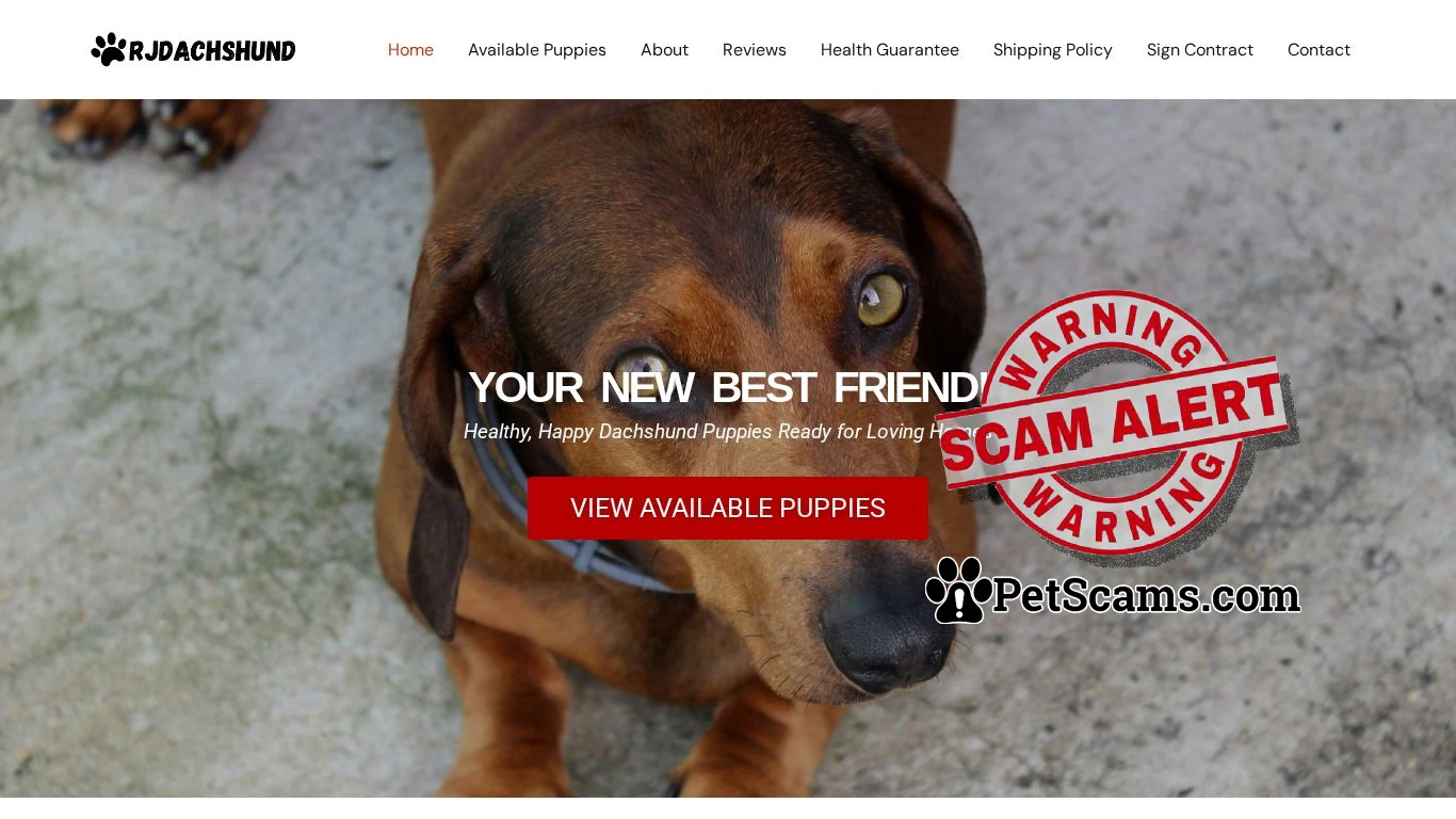 is rjdachshund.com legit? screenshot