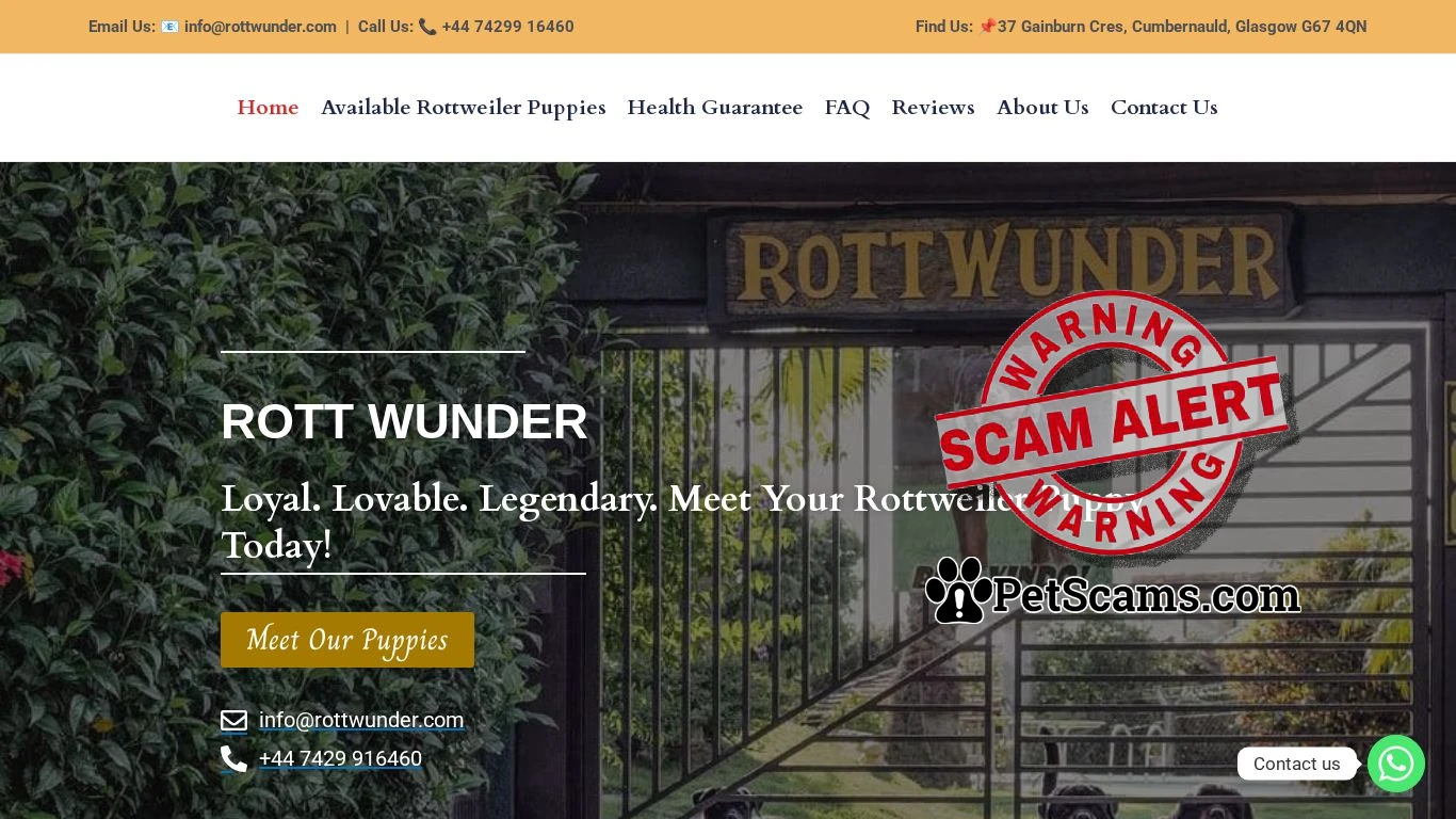 is Rott Wunder – Rottweiller Puppies For Sale legit? screenshot