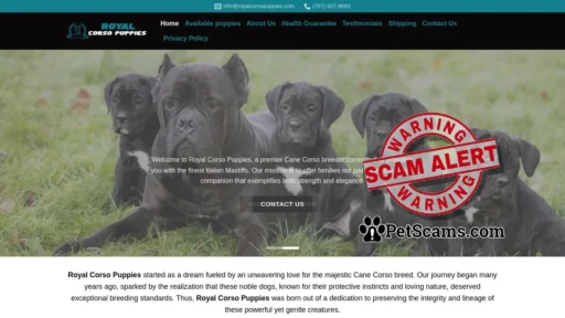 Scam Website: Royal Corso Puppies - Pure Bred Cane Corso Puppies For Sale