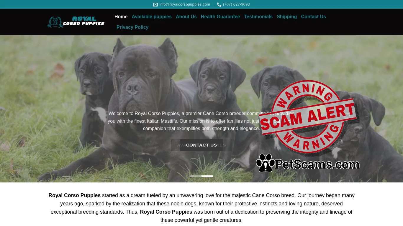 is Royal Corso Puppies - Pure Bred Cane Corso Puppies For Sale legit? screenshot