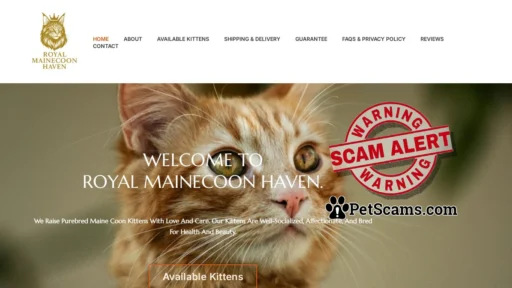 Scam Website: Royal Maine Coon Haven – Home of Noble Maine Coons