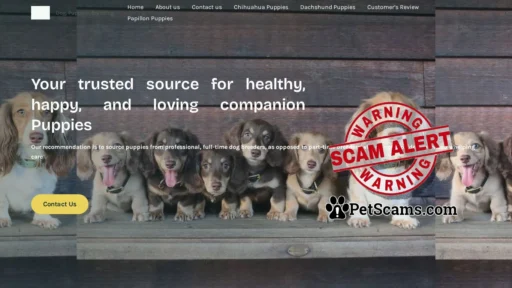 Scam Website: Royal Tiny Paws – Dog, Puppies, Breeding