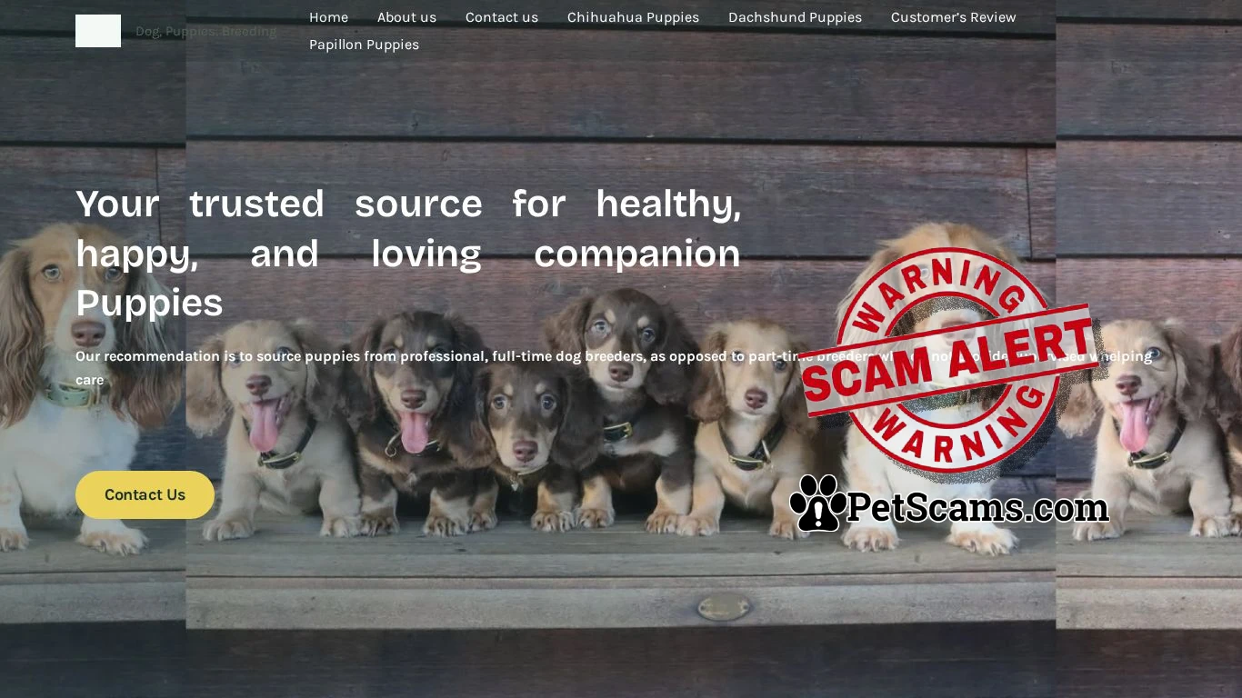 Scam Website: Royal Tiny Paws – Dog, Puppies, Breeding