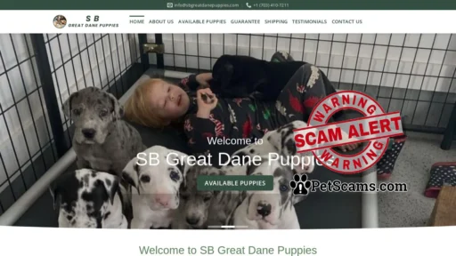 Scam Website: SB Great Dane Puppies – Great Dane puppies for sale