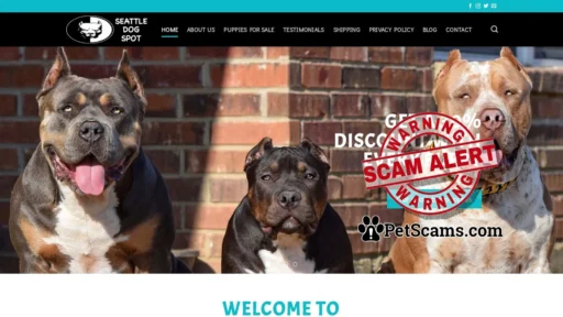Scam Website: Pitbull puppies for sale - Cheap pitbull puppies for sale | Bluenose pitbull puppies for sale