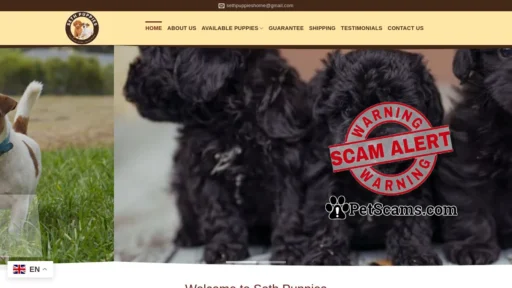 Scam Website: Seth Puppies – Jack Russell Terrier and Teacup Poodle puppies puppies for sale