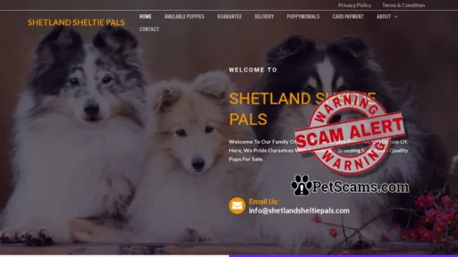 Scam Website: Shetland Sheltie Pals – Breeding Quality, Not Quantity