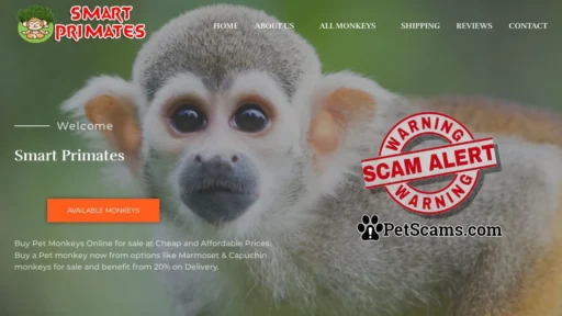 Scam Website: Smart Primates