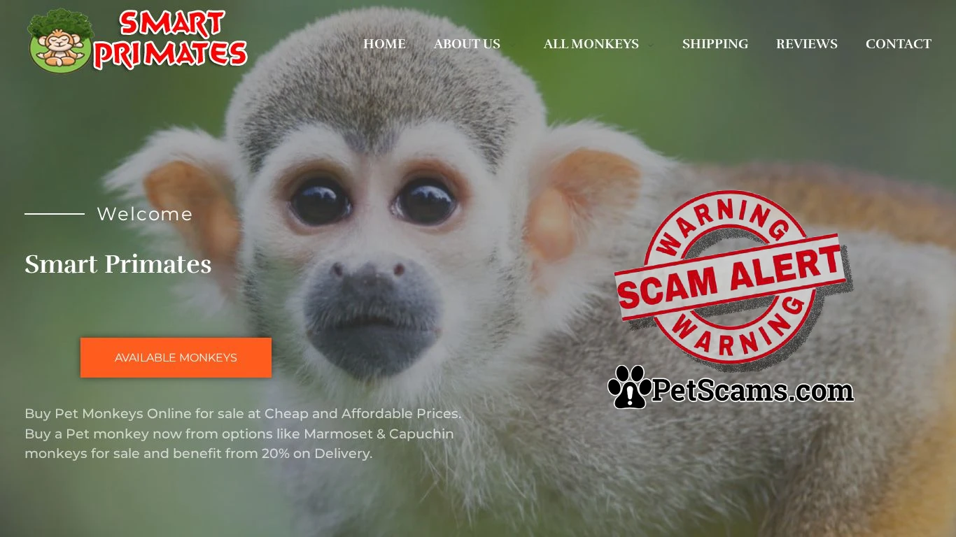 Scam Website: Smart Primates