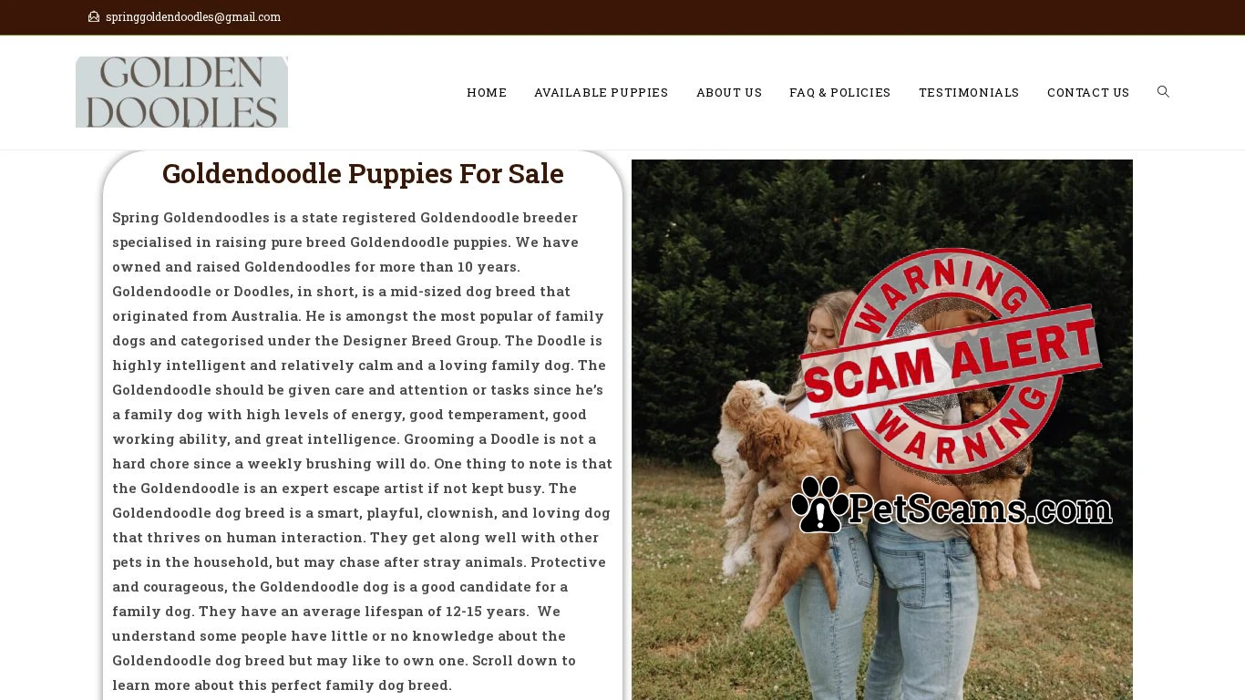 is SPRING GOLDENDOODLES – State Licensed Goldendoodle Breeder legit? screenshot