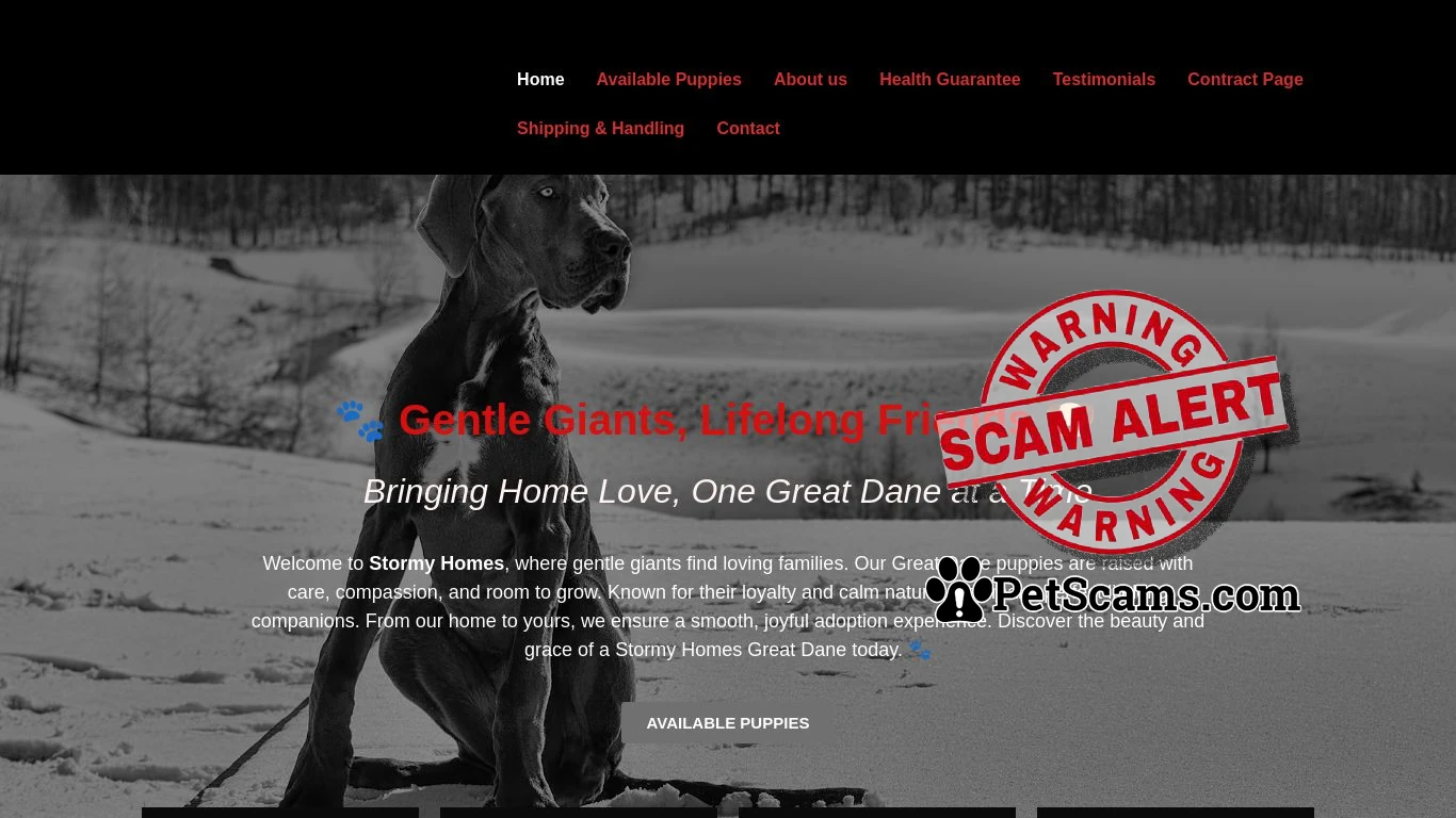 is Stormy Homes – From Our Home to Yours, with Love. legit? screenshot
