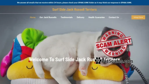 Scam Website: Surf Side Jack Russell Terriers – Purebred Jack Russell For Sale