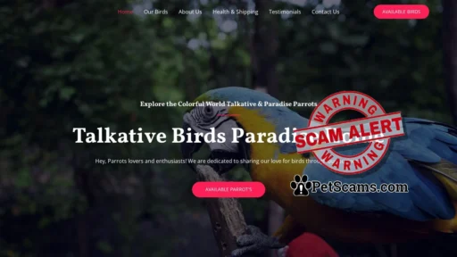 Scam Website: Talkative Birds Paradise Home – Talkative Birds Paradise Home
