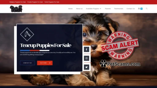 Scam Website: Home - teacuptoymaltipoopuppies.com