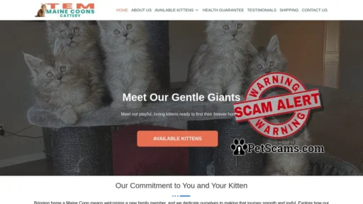Scam Website: Home | Tem Maine Coons Cattery