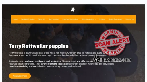 Scam Website: Terry Rottweiler Puppy – Pups for sale