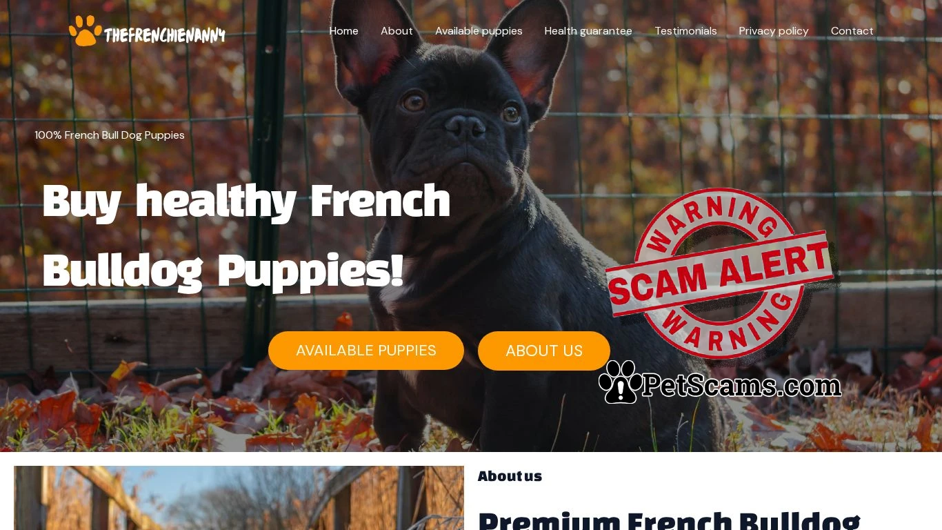is thefrenchienanny.com – thefrenchienanny.com legit? screenshot