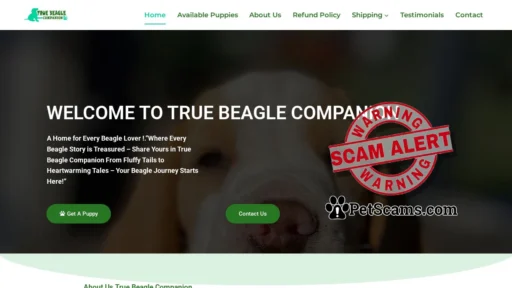 Scam Website: True Beagle Companion – Family Beagle Breeders USA
