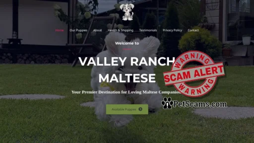 Scam Website: Valley Ranch Maltese – Maltese Puppies For Sale