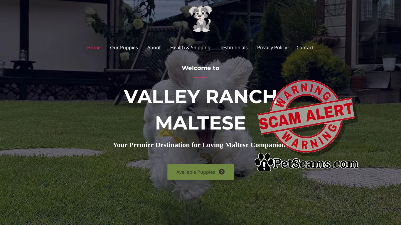 is Valley Ranch Maltese – Maltese Puppies For Sale legit? screenshot