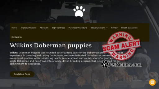 Scam Website: Wilkins Doberman Puppy – Pups for sale