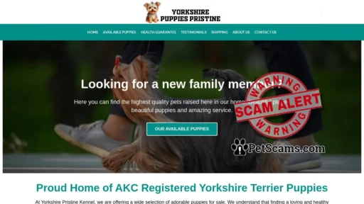 Scam Website: Yorkshire Puppies Pristine – Amazing Puppies For Sale